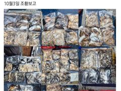 26년10월03일 대천항봉선장 아이언호 쭈꾸미조황