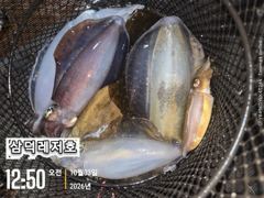 [통영] 똥바람통,무늬들,(오늘,좋은날씨,원도권,출항확정,자리널널)