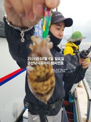 4일, 군산 갑오징어~갑돌이 세상~잘 나오고 있어요~실시간~군산낚시프라자 챔피언호