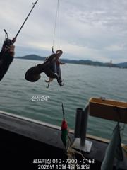 쭈꾸미 실시간 ~~ 퍽 퍽 합니다요 ^^