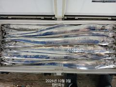 (여수캡틴피싱) 3일입항 갈치 초대박조황!!! 초저녁부터 철수때까지 꾸준히나와 잡어없이 갈치로만 쿨러가득채우고왔습니다. 7일 수요일부터 출조합니다. 자리여유있습니다. 010 7374 7799