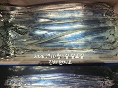 내만갈치 씨알급으로 쿨러채우러 갑니다~~~예약가능