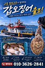 가을녹동돌문어 미친대박조황~ 사진