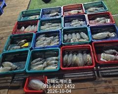 팁런무늬오징어 2일 147수 장원20수 내일 예약가능합니다