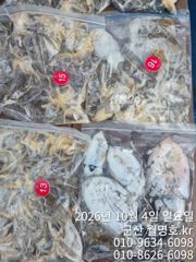 4일 오전 쭈꾸미 조황