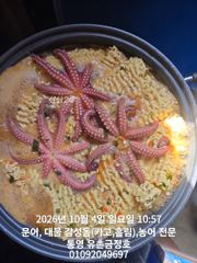 통영 금정호 문어낚시 바람불어도 묵직하게 잡아갑니다 주중주말 자리 여유있습니다