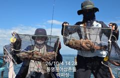 (문어)대성공 K전후~500g전후까지 마릿수 OK 락피싱(5일 예약)