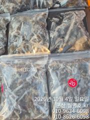 4일 쭈꾸미 오후반