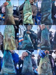 먹물 글만 보기