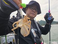 사천피싱스타 주꾸미 조황입니다