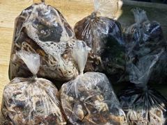 [사천] 삼천포 광용호 쭈꾸미 조황입니다~! 장원146수 사진