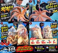 삼천포문어 대박조황! 두 자릿수 10명! 전체가 골고루 잡았다｜삼천포박프로 흑진호