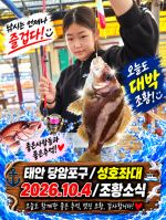 10.4 성호좌대 조황소식 사진