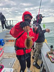 10월 4일 영종도 라이즈호 갑오징어 조황