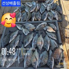 1시간전 [군산] 10/4. 군산. 대한낚시. 주꾸미. 조황. 내일도. 출동해요