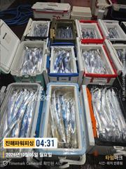 [진해] 준내만[갈치/텐빈]5일입항 쿨러조황~목요일부터[목.일]예약가능