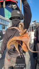 야간문어!포인트마다 사이즈.마릿수 굿~화요일예약가능