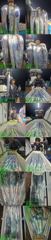 (14석통영명륜3호)은빛왕갈치 쿨러조황입니다 내일부터 출조합니다(내일부터 계속예약가능)