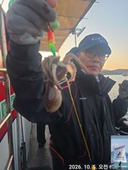 [사천] 실시간 5일 쭈꾸미 조황.