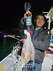 삼천포 문어,주꾸미 조황! 주간반,야간반 매일출조!