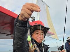 ▶▶ 10/4.(군산. 카니발호) 쭈&갑오징어~병행! 조황.