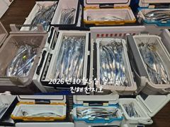내만갈치 3지급으로 쿨러조항~~~예약가능