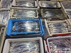 우와.5일새벽,내만칼치용가리 큰칼치 어마어마퍼담고 쿨러넘쳐,타작`,오늘예약가능~ 사진