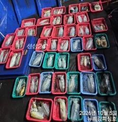 왕무시들 왕고매들~ 사이즈 좋습니다!! 내일 6시 출동!!!