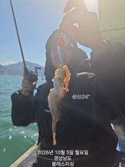 쭈꾸미 잘 나와요~ 내일부터는 갑오징어!! 자리많아요 사진