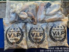 10월 04일 오천항VIP호 쭈꾸미&갑조황