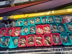 거제 갑돌이 !!!! 지금 거제에 갑돌이들이 많이 들어왔네요!!!
