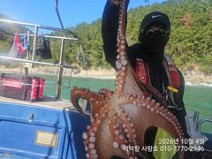 [진해] "돌문어"어제도1500g1200g1100g외 덩치들과 15수14…