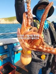 6일, 군산문어 ~싸이즈 확실한 덩치급 문어가~ 오늘도 스타트~실시간~~군산낚시프라자 챔피언호