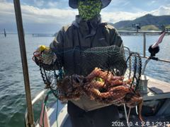 [진해] 문어 k들조황 및 문어라면 사진
