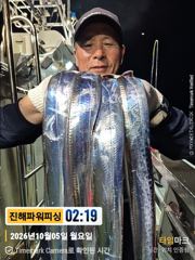준내만[갈치/텐빈]5일입항 쿨러조황~수요일부터 달려봅니다[수.일]예약가능 사진