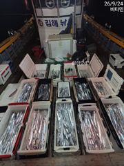 먼바다갈치 ///갈치텐빈&한치 수, 목, 금, 토~ 예약가능