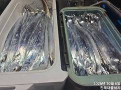 우와.6일새벽,내만칼치 강풍속에 용가리어마어마퍼담고초대박타작 쿨러넘쳐,오늘예약가능~ 사진