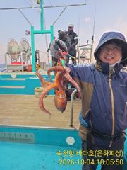 [진해] 문어 야간 문어 조황 돌박에 쨋다하면 600이상 만 18수 1… 사진