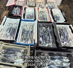 6일,내만갈치,담뱃갑 사이즈에 쿨러 넘치게,엄청 나옵니다,내일출항(수,목~예약가능)