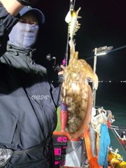 목포신세계피싱 야간갑오징어 잘나옵니다 사진