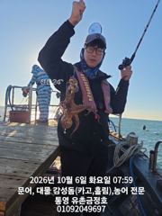 통영 금정호 아침부터 키로급 문어들이 반겨줍니다 주중 주말 자리여유있습니다