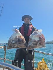 바람통문어들