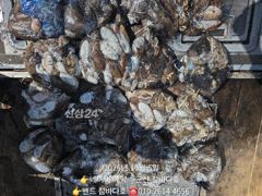 7일 먼바다 갑 출조 14자리 여유입니다.(출항확정)