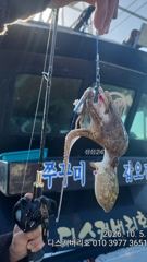 문꾸미 조황 여수 디스커버리호