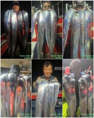 여수강프로피싱 *살아나는 갈치조황*