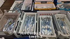 [진해] 내만 갈치 바글바글 피딩받아 손맛 찐~하게 보고!!(예약가능)