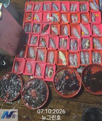 [통영] (원도권)무늬 구덩이 씨알 끝장 110수 퍼 담고~뉴그린호(오늘… 사진
