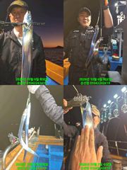 [마산] 내만 갈치 팔이 아파 더는 못잡겠네 쿨러 가득 가드 오늘 예약가…