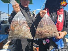금 토 일 돌문어 출조합니다.