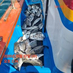 호미르호. 찌낚 사진